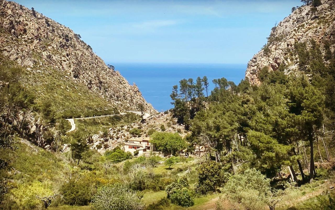 Ses Fontanelles Guest house Andratx