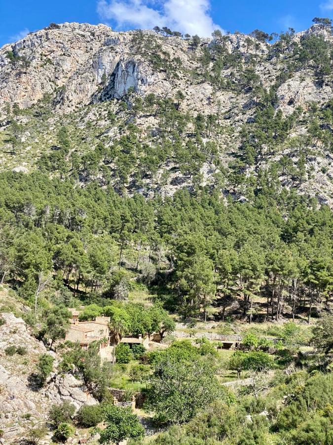 Guest house Ses Fontanelles *
