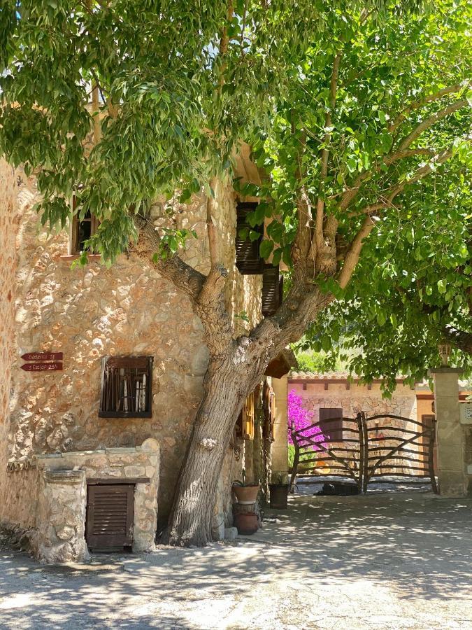 Guest house Ses Fontanelles *