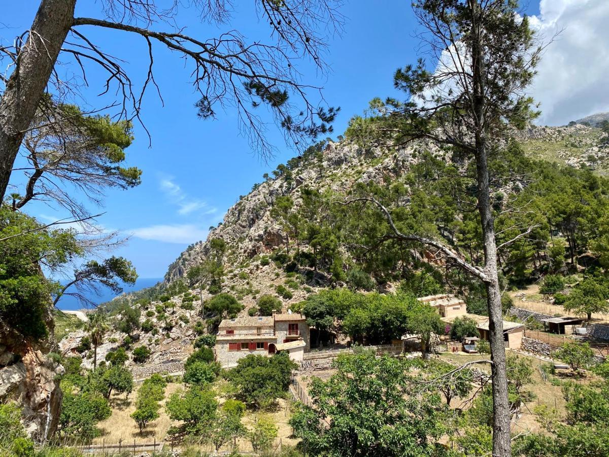 Ses Fontanelles Guest house Andratx