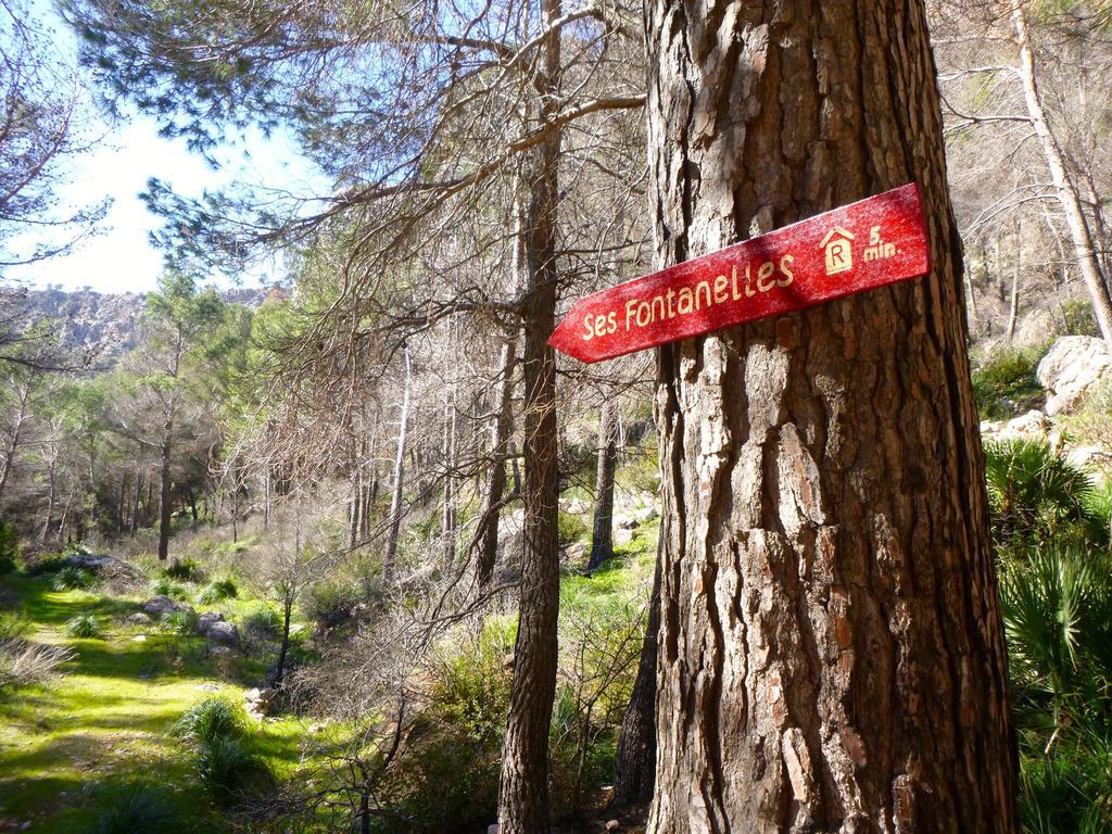 Guest house Ses Fontanelles *