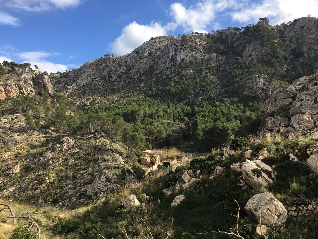 Guest house Ses Fontanelles Andratx