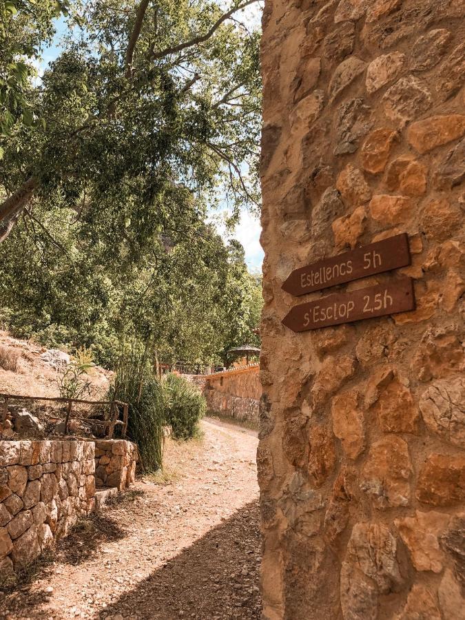 Ses Fontanelles Guest house *